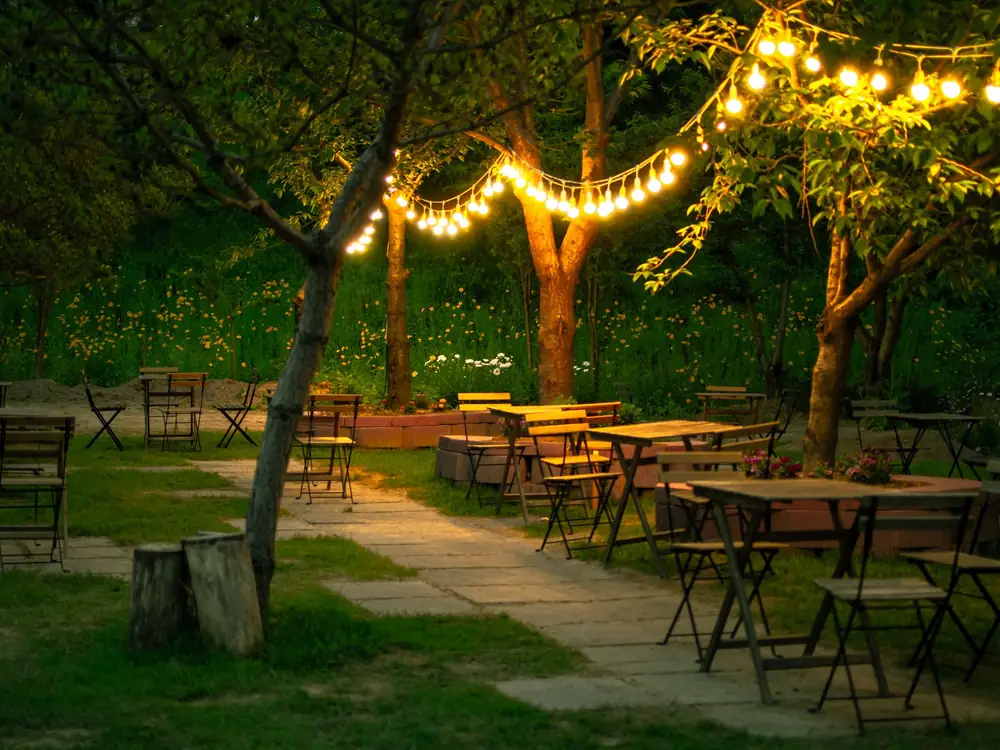 Garden tables on the lawn under a big tree strung with warm lights at dusk